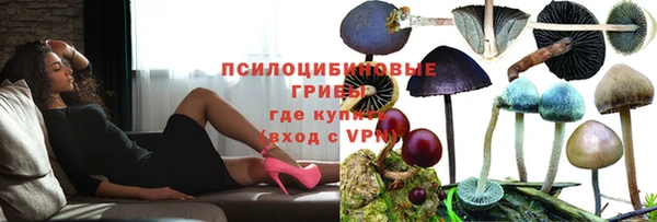 первитин Гусь-Хрустальный