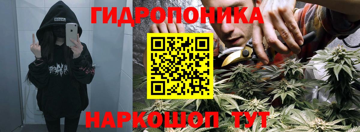Бошки марихуана LSD WEED Майкоп